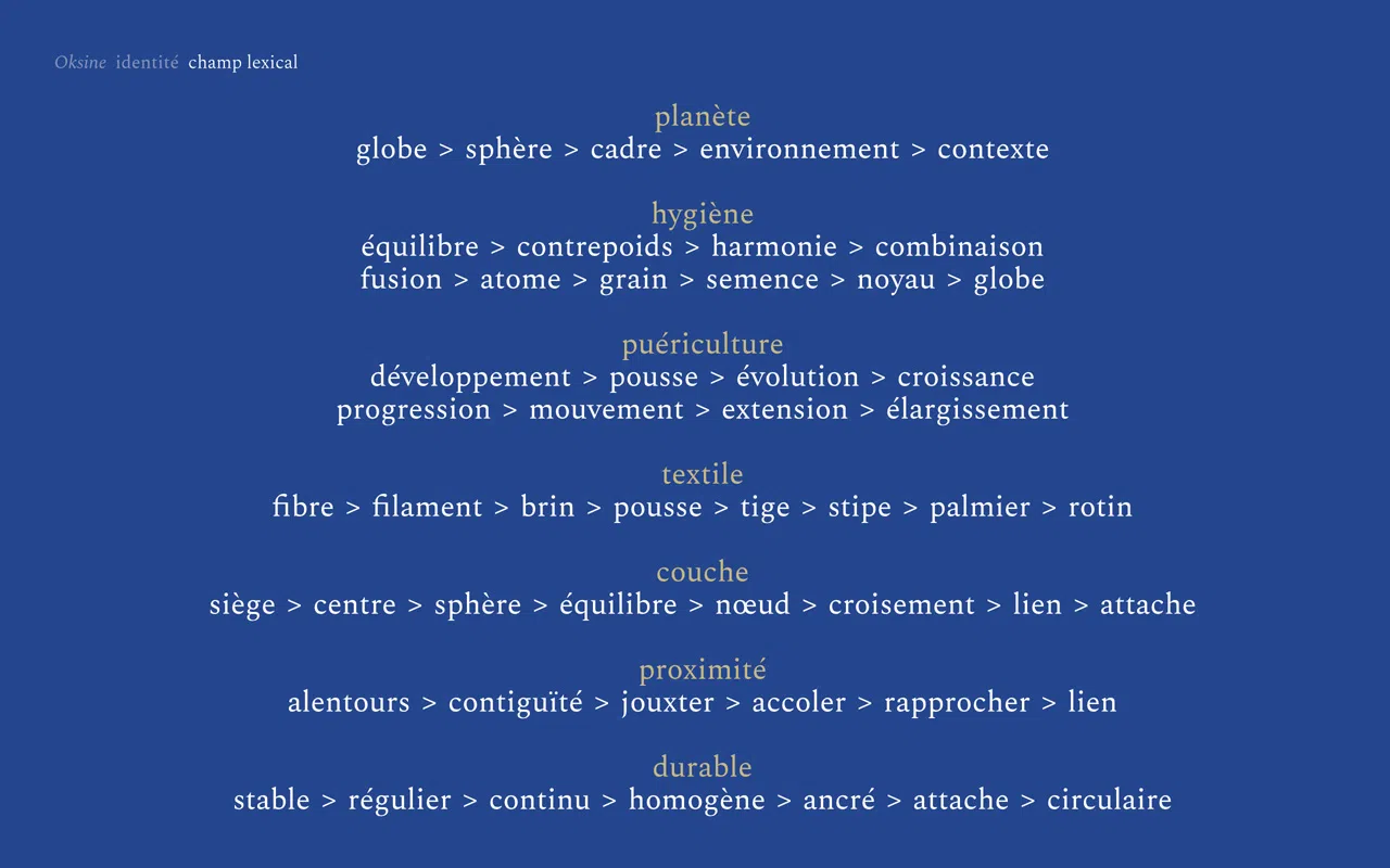 Visuel détaillant le champ lexical développé lors de la phase de recherches, pour structurer le concept.