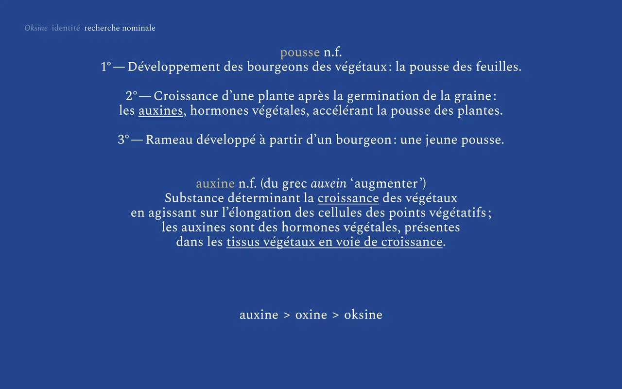 Visuel présentant la genèse du nom de l’entité – Oksine –, à travers le mot « pousse » et sa définition.