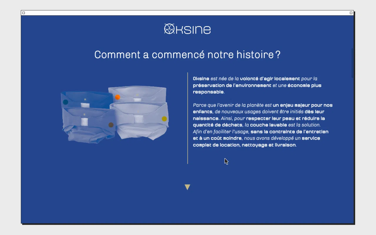 Capture d’écran du site web www.oksine.fr – version desktop – montrant la partie « Comment a commencé notre histoire ? ».